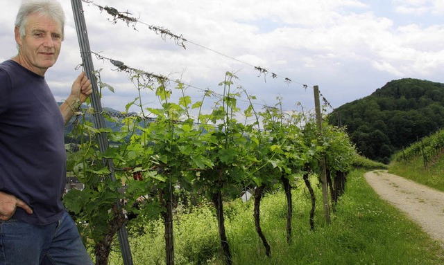 Der Weingutswinzer Gerhard Mangold bei...wre jedoch auch er direkt betroffen.   | Foto: Silvia Faller