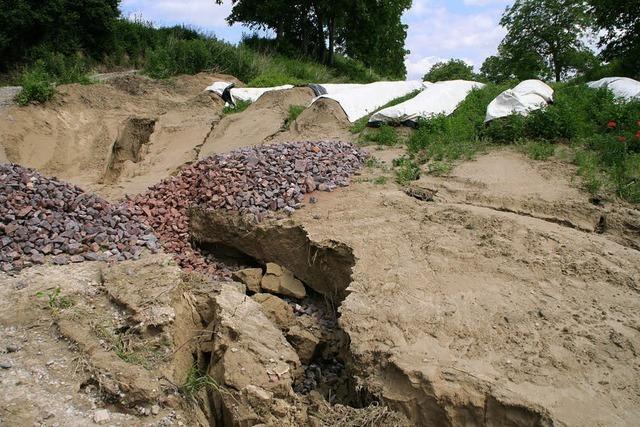 Spargelanbau sorgt fr Erosion