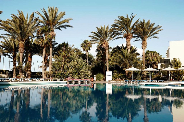 Palmen am Pool eines Hotels auf Fuerteventura.  | Foto: dpa
