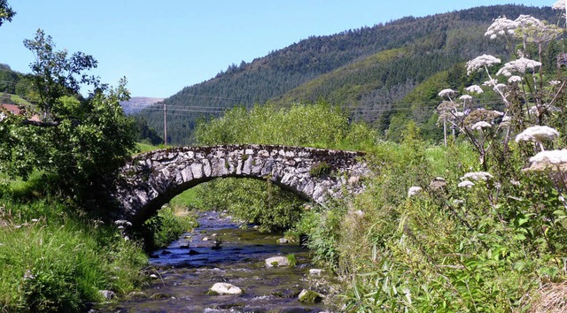 Typisch Kleines Wiesental: Berge, Bum...t fr Einreichungen endet am Freitag.   | Foto: Sattelberger