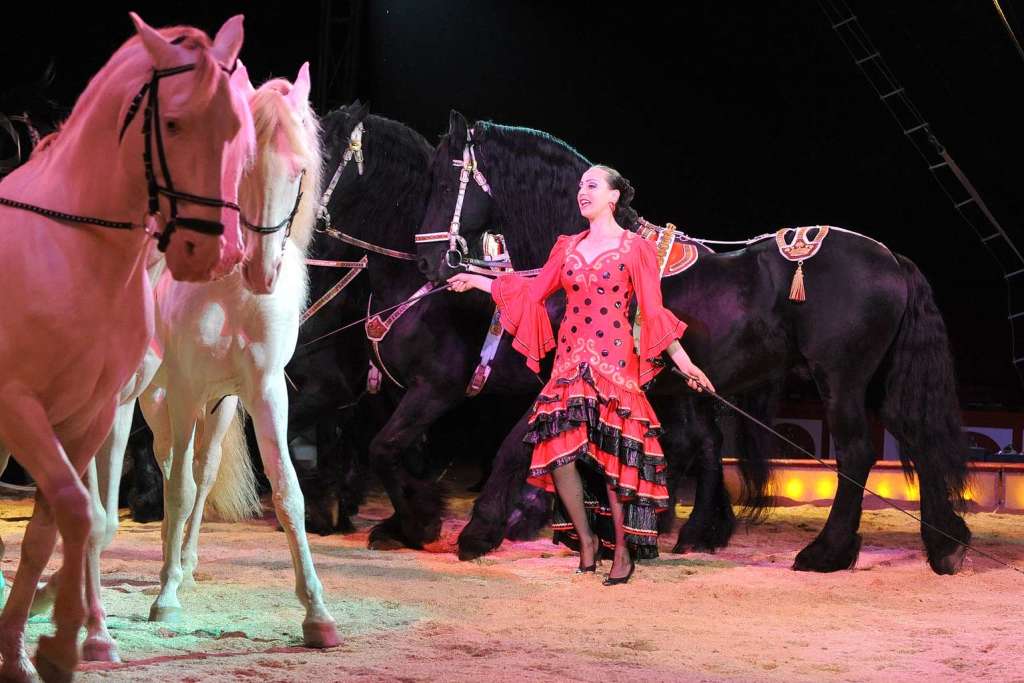 Einen Rausch aus Farben, Lichtern und prchtigen Tierdressuren macht den Zirkusbesuch zu einem Erlebnis
