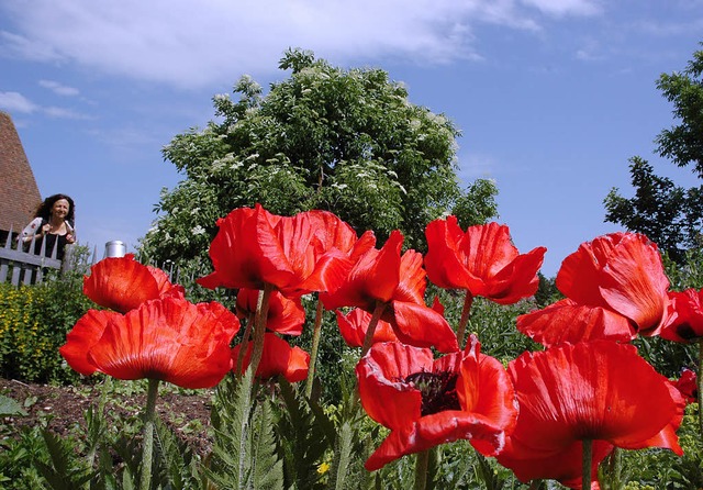 Idyllische Grten: Blumige Entdeckungen bei der Albhoftour   | Foto: Claudia Diemar