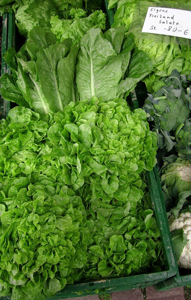 Knackiger Salat   | Foto: w. meyer