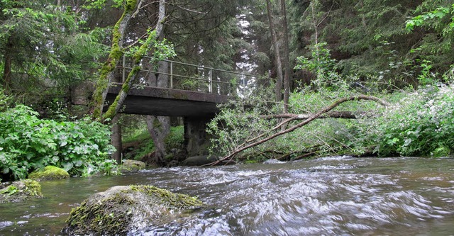 Die alte Fahlbrcke am Schottenhof bei Neustadt muss saniert werden.   | Foto: Thomas Winckelmann