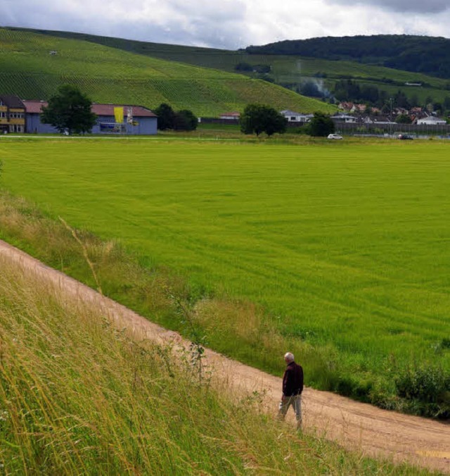 Auggen erweitert das Gewerbegebiet  Kl...bis auf die Hhe des   Winzerkellers.   | Foto: Umiger