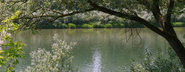 Bis jetzt noch ein Hindernis vor der R...ankreich: der Rhein bei Bad Bellingen   | Foto: Meyer