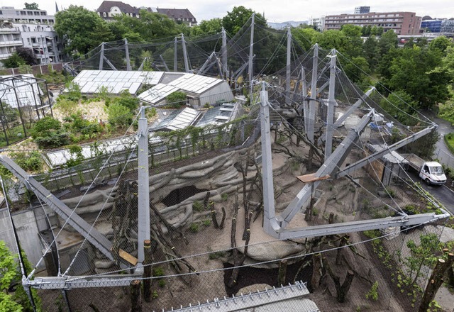 Noch ist die Auenanlage fr Menschena...ber an ist sie ffentlich zugnglich.   | Foto: Zoo Basel