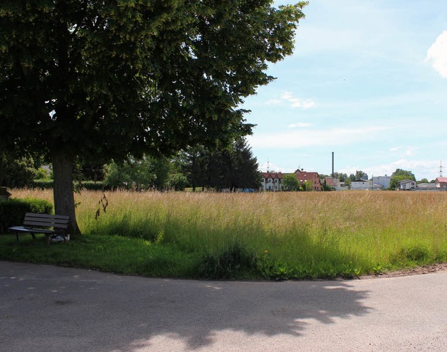 Die Ettermatt am ueren Ortsrand (lin...iner Straenseite bereits bebaut ist.   | Foto: mario schneberg