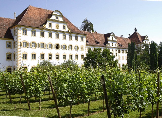 Schloss Salem   | Foto: BZ(3)/dpa/Thomas Kunz