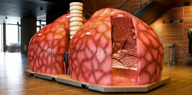 Begehbare Modelle von Herz und Lunge (...bieten gute Einblicke in die Medizin.   | Foto: klinikum