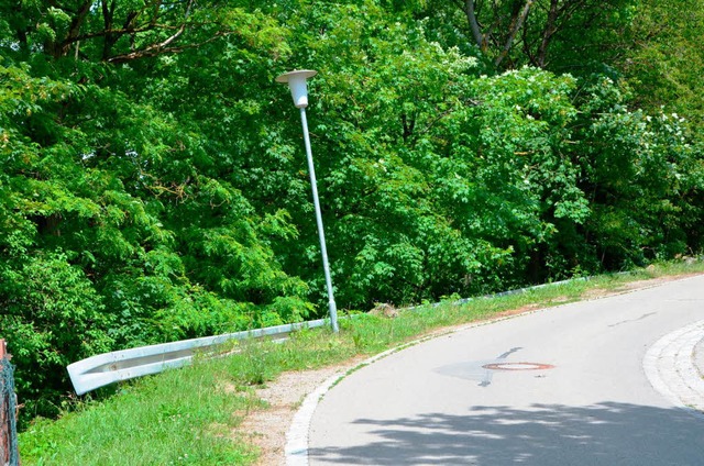 Dass der Hang oberhalb der L 171 in Be... und Straenlampen in Schieflage sind.  | Foto: Juliane Khnemund