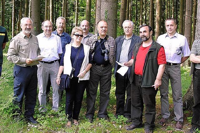 Der Wald wird umgebaut