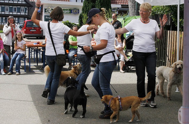 Die mit dem Hund tanzen: Abwechslungsr...der Tierrettungsstation in Ichenheim.   | Foto: heidi fssel