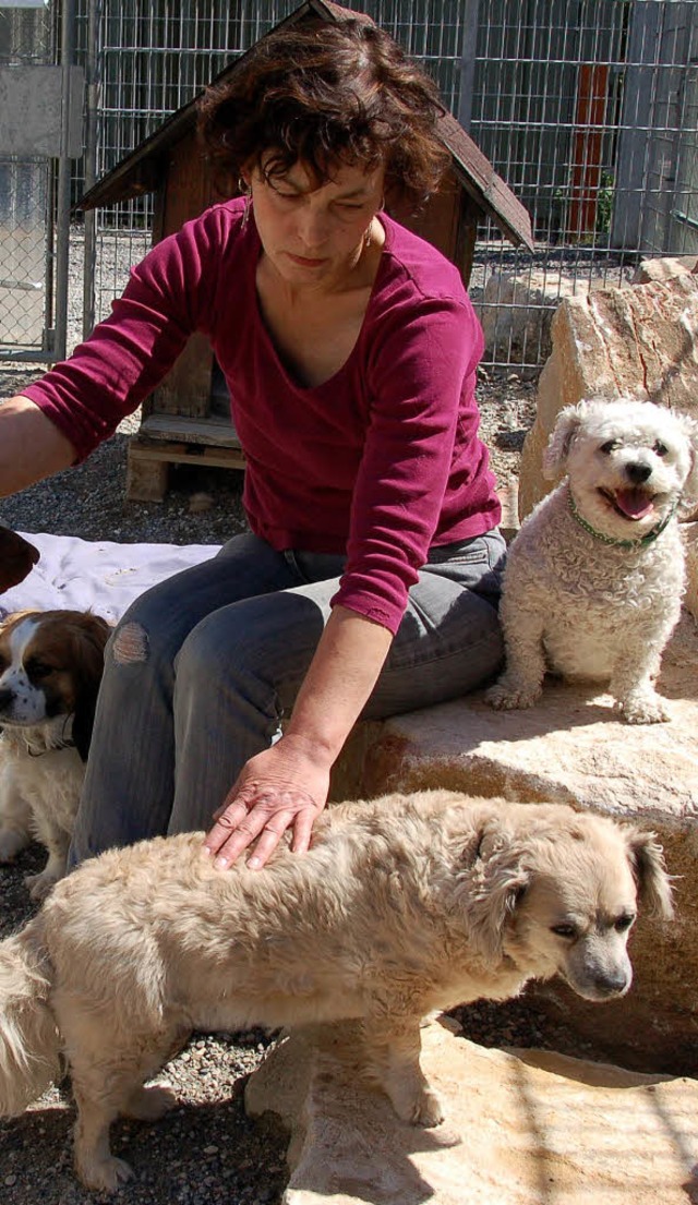 Tierheimleiterin Martina Donath ist fr...s Frankreich und der Schweiz finden.    | Foto: Archivfoto: Fillisch