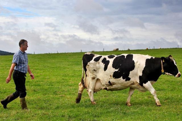 Milchbauern bekommen weniger Geld – Einzelhandel drückt Preise