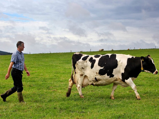 Die Schwarzwlder  Milchbauern mssen mit weniger Milchgeld auskommen.  | Foto: dpa