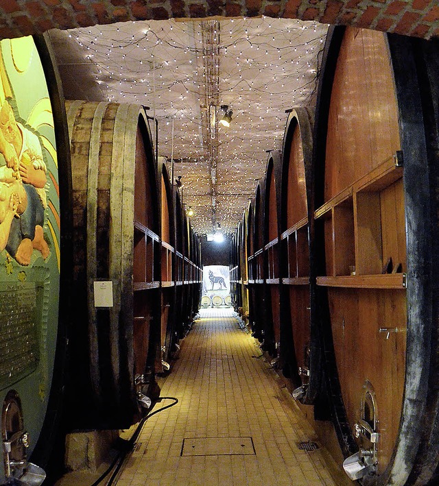 Unterm Sternenhimmel reifen die edlen Tropfen im Winzerkeller in Wolfenweiler.   | Foto: Susanne Mller