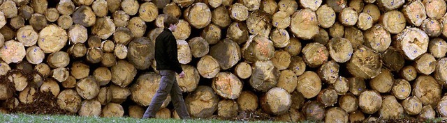 Viel zu viel Holz hat Rickenbach zwischen 2003 und 2011 geschlagen.  | Foto: dpa