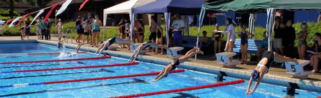 Wettkampftag der Schwimmabteilung fr ...gsschwimmfest im Kollnauer Schwimmbad   | Foto: Sigmund