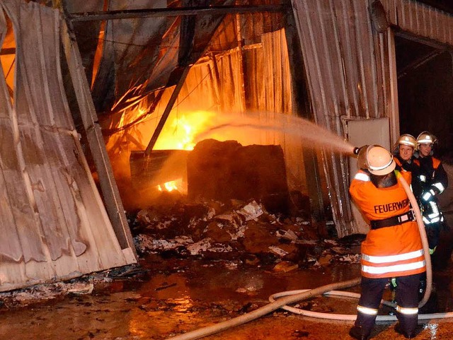 Feuerwehrleute lschen in Gondelsheim ...erhalle eines Futtermittelherstellers.  | Foto: dapd