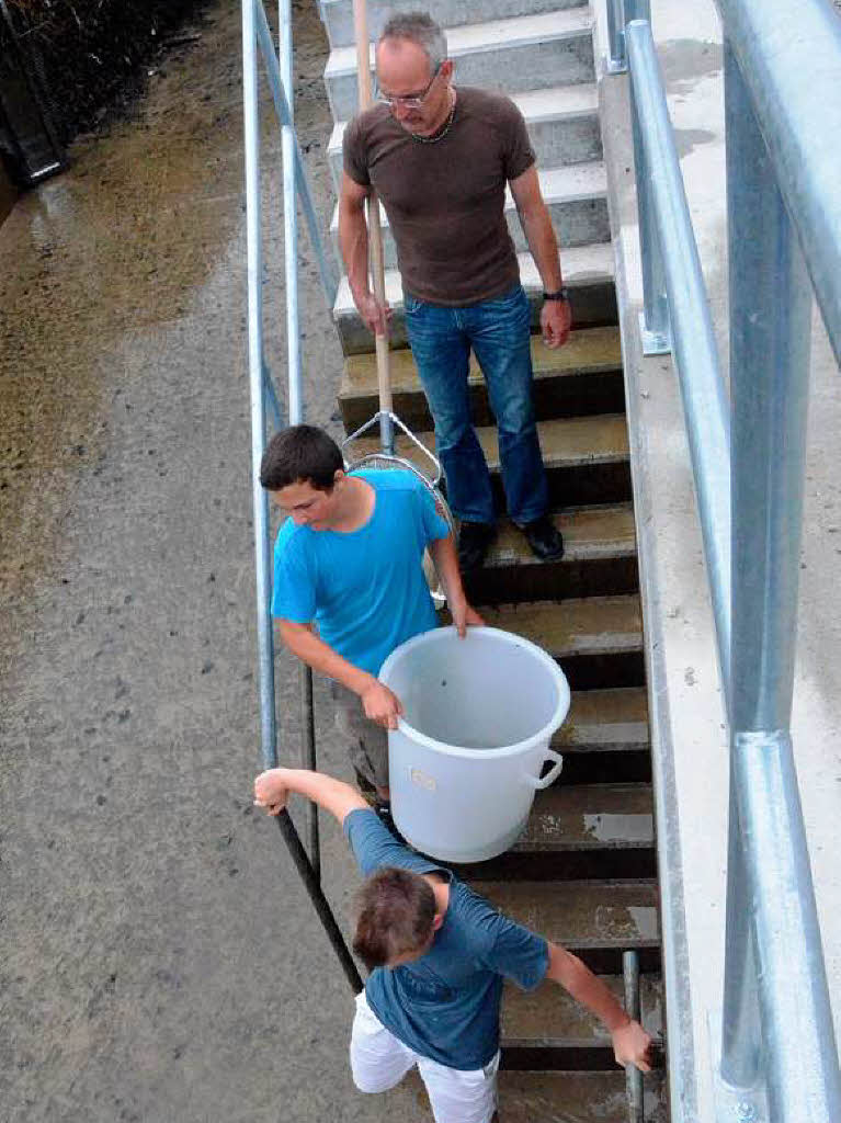 Wenn sich das Becken leert, geht es die Treppe zum Einsammeln der Fische hinab.