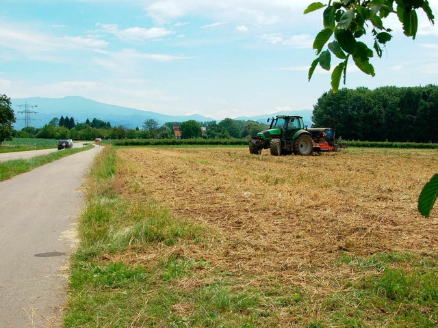 Die Felder zwischen Schupfholz und Reu...ove&#8220; im Juli bereits gerichtet.   | Foto: Pia grttinger