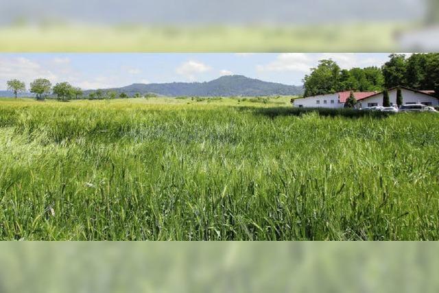 Landwirtschaft soll erneut Gewerbe weichen