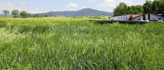 Zwischen Schwimmbad und Schtzenhaus a... bei landwirtschaftlicher Nutzflche.   | Foto: Sabine Model