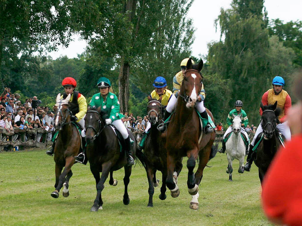 Rassige Galopper, elegante Traber, Reitsportfachleute, Pferdefreunde, Zocker – groes Stelldichein auf der Waldrennbahn