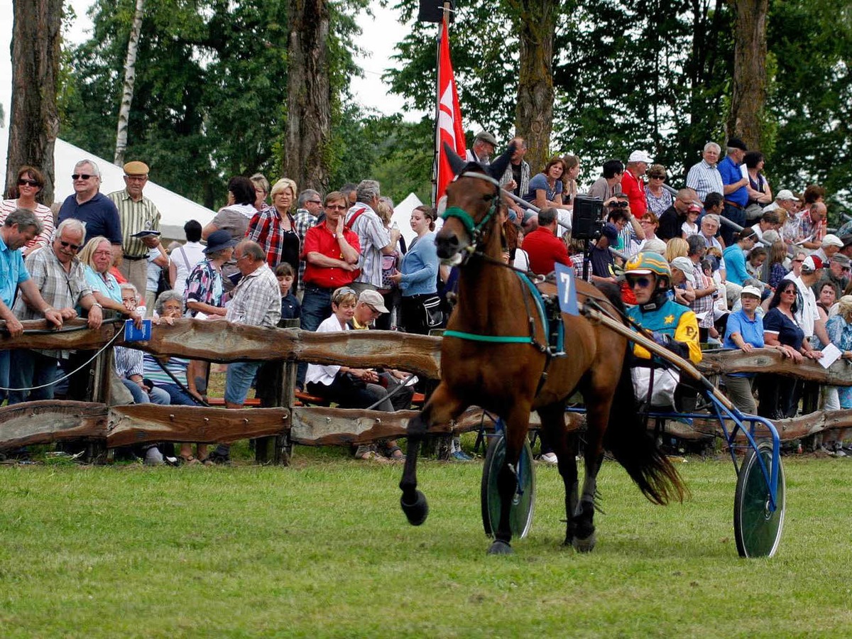 Rassige Galopper, elegante Traber, Reitsportfachleute, Pferdefreunde, Zocker – groes Stelldichein auf der Waldrennbahn