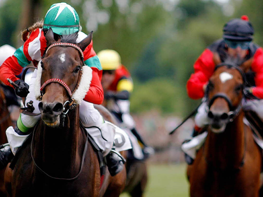 Rassige Galopper, elegante Traber, Reitsportfachleute, Pferdefreunde, Zocker – groes Stelldichein auf der Waldrennbahn