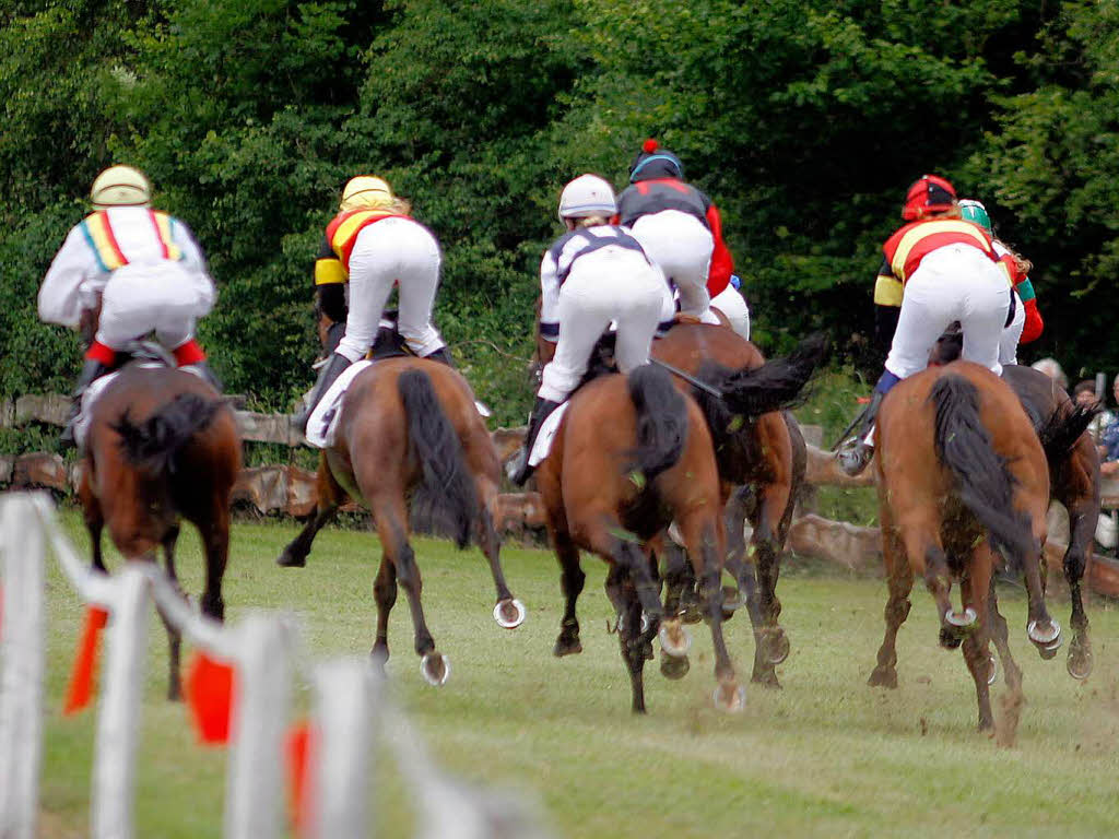 Rassige Galopper, elegante Traber, Reitsportfachleute, Pferdefreunde, Zocker – groes Stelldichein auf der Waldrennbahn