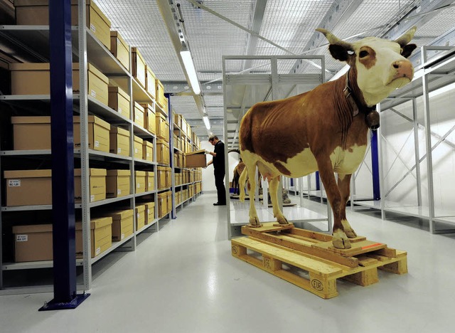 Fr Kuh Brbel gibt&#8217;s auch ein Pltzchen im neuen Zentraldepot.   | Foto: ingo schneider