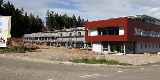 Die restlichen Bume im Gewerbegebiet ...r Gemeinderat am Jahresende befinden.   | Foto: Gert Brichta