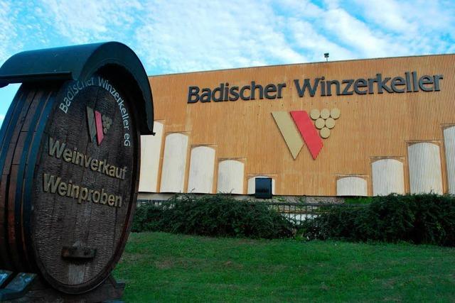 Badischer Winzerkeller erhht Traubengeld um 500 Euro pro Hektar