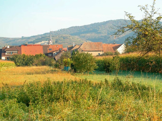 Ob im Gebiet &#8222;Breul&#8220;  jema...stehen werden, ist ziemlich  ungewiss.  | Foto: Rhenisch Thomas