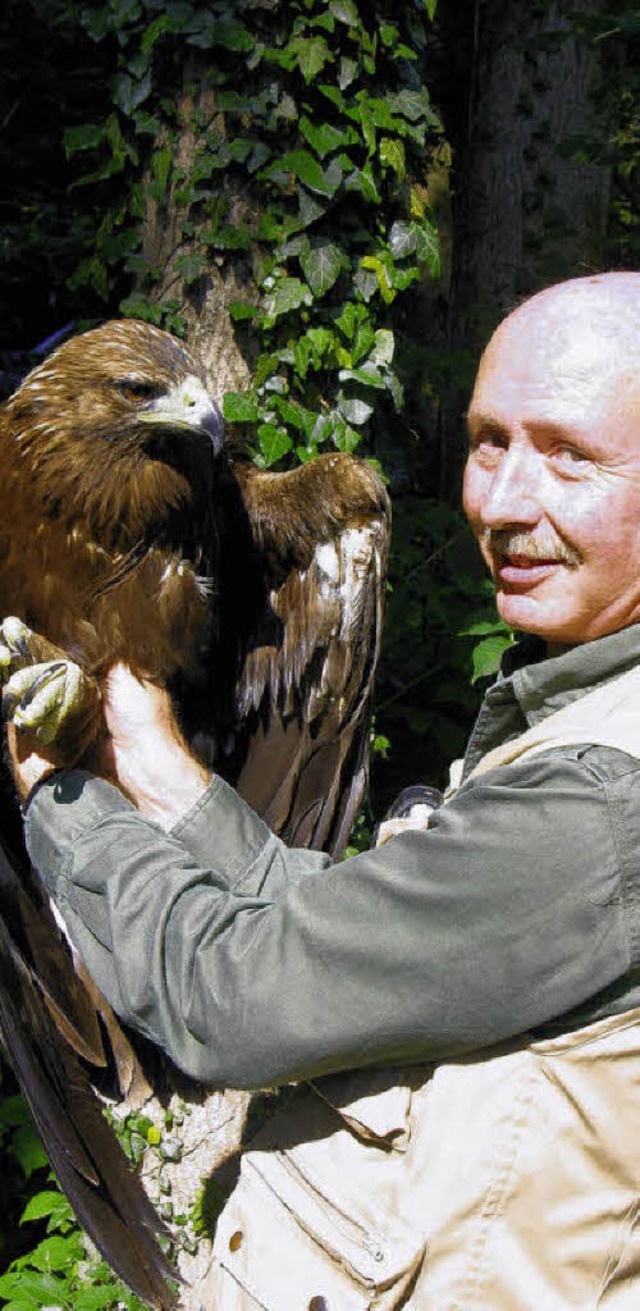 Der stolze Adler Artus, auf dem Bild  ...ttraktionen im Waldshuter Wildgehege.   | Foto: ARCHIV