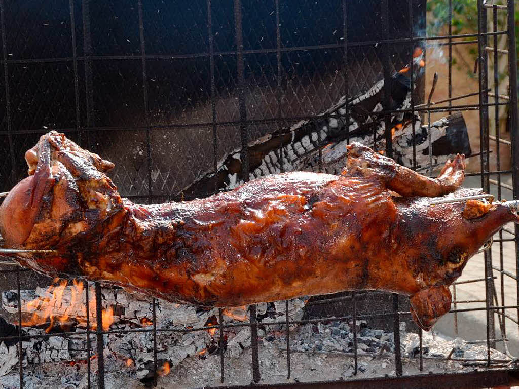 Auch im Jahr 2012 ein Hochgenuss: ein Spanferkel auf dem Grill