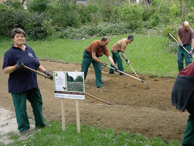 Mitarbeiter der Technischen Betriebe W...bei der Vorbereitung der neuen Wiese.   | Foto: Hubert Bleyer