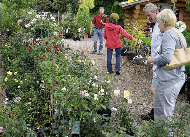 Bunte Vielfalt bei Gartenbau Hgel   | Foto: Marco Schopferer