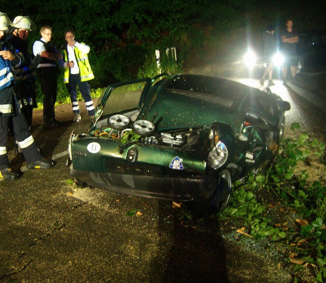 Vom Baum zertrmmert wurde dieses Auto.  | Foto: Feuerwehr Kandern