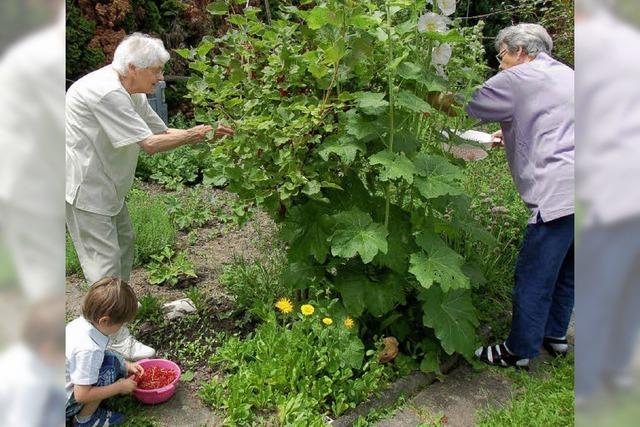 Ein Garten weckt Erinnerungen