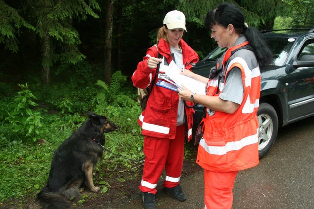 Groaufgebot sucht in der Gemeinde hl...orf nach einem vermissten Pilzsammler.  | Foto: Luisa Denz