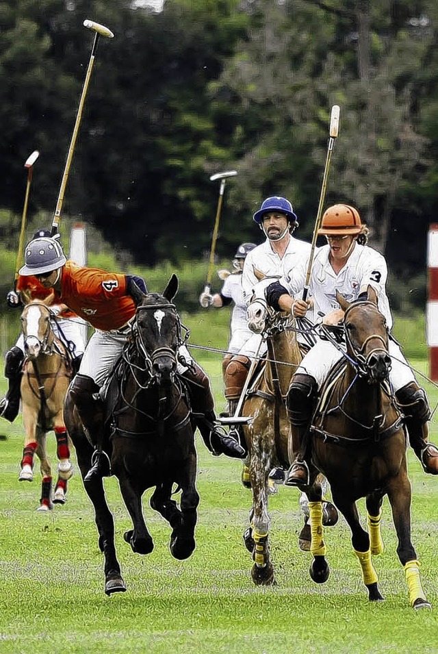 Ist Polo bald Volkssport auf der Baar?   | Foto: Roger Mller