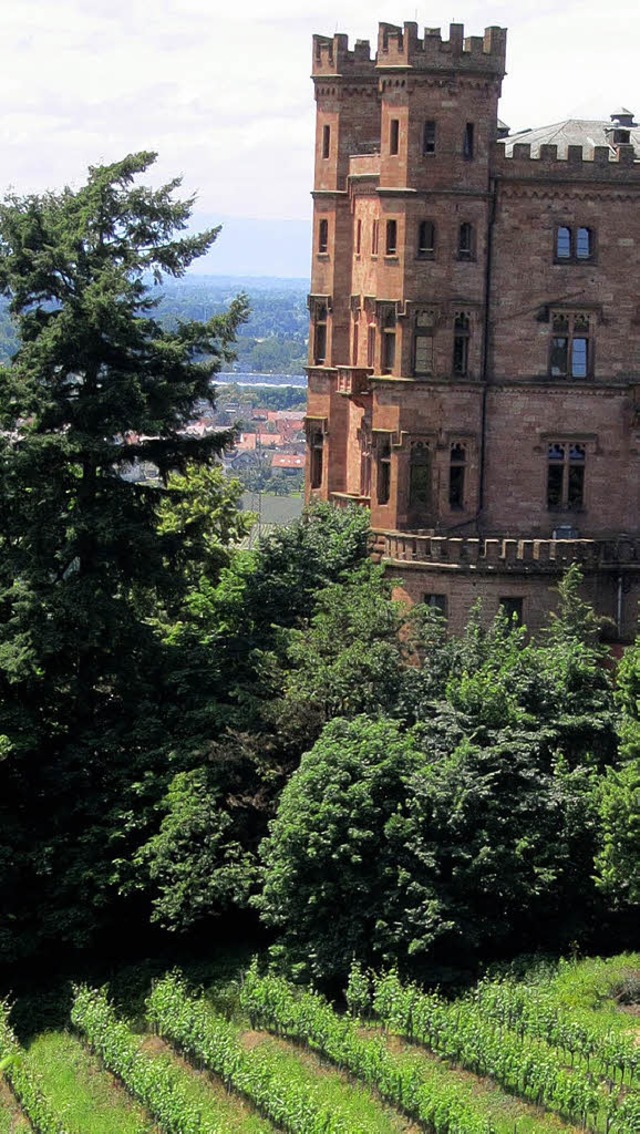 Schloss Ortenberg   | Foto: privat