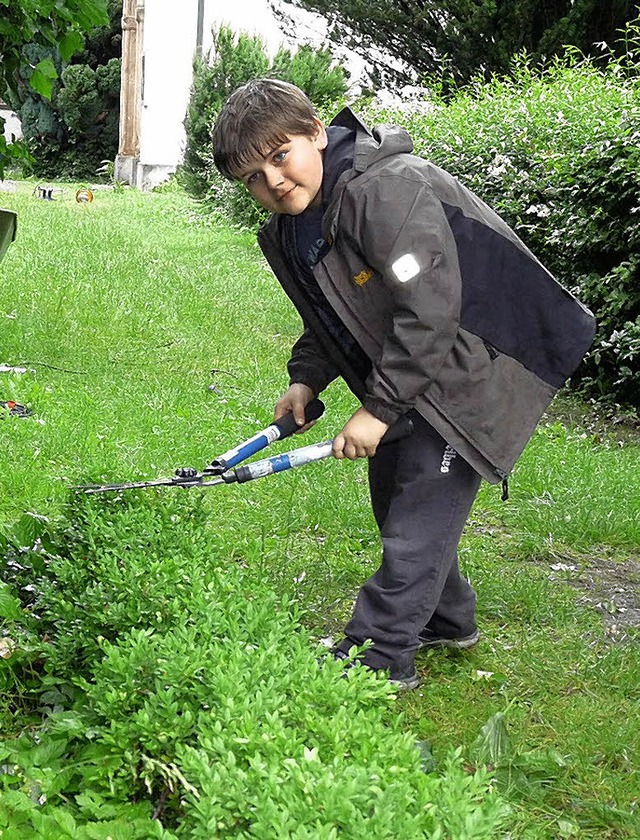 Adam arbeitet mit der Heckenschere  | Foto: fautz, privat