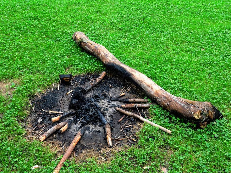 Offene Feuer sind auf  der Sternwaldwiese nun  verboten.  | Foto: i.schneider
