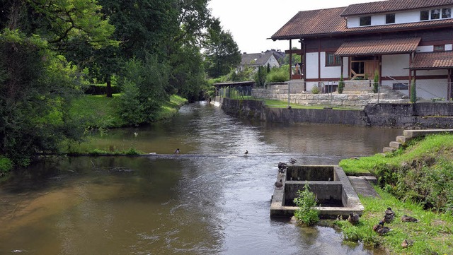 An der Bachkreuzung von Mhlbach und B... Fischtreppe (rechts) erneuert werden.  | Foto: Gerhard Walser