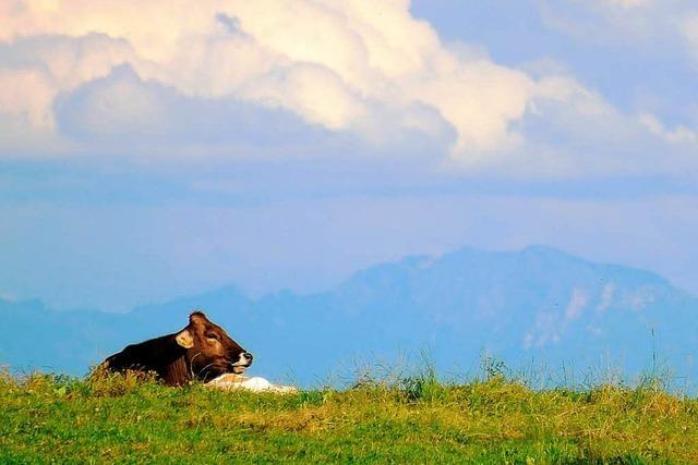 Grenzregion: Touristenschreck Atom-Endlager?