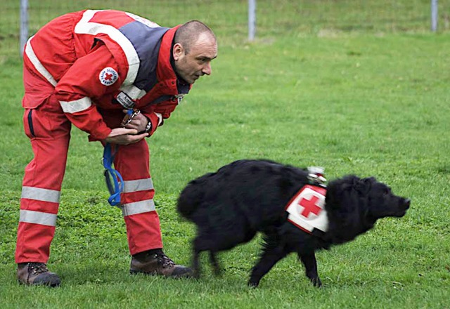 Auch Rettungshunde kommen am Samstag nach Waldkirch.   | Foto: Verein